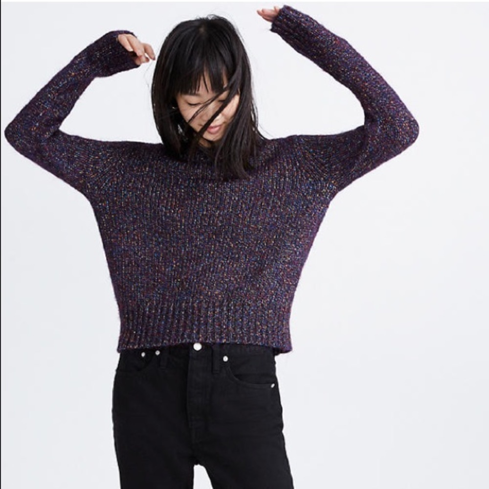 NWT Madewell Purple Sweater